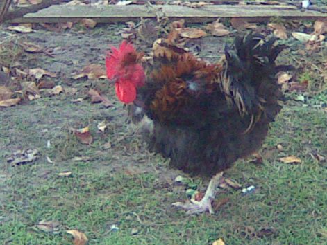20101030_038.jpg