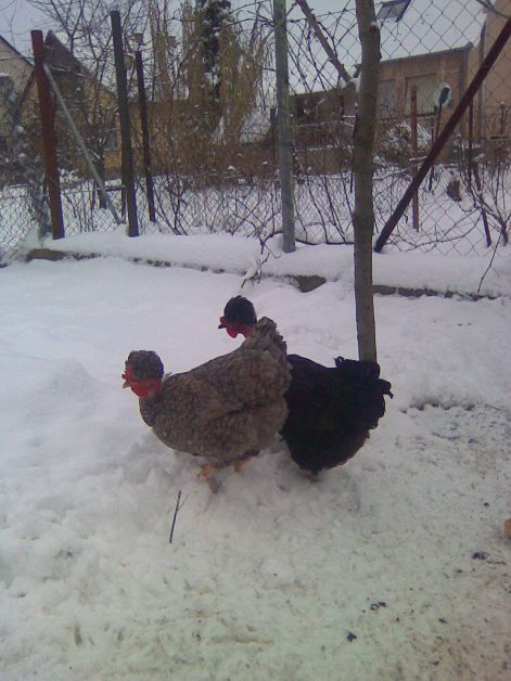 20110101_007.jpg