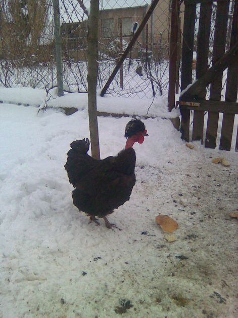 20110101_010.jpg
